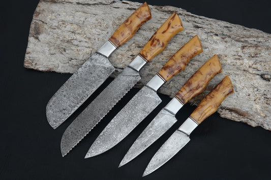 Custom Handmade Kitchen Knife Set Damascus Steel Resin Handle Chef Set 5 pcs