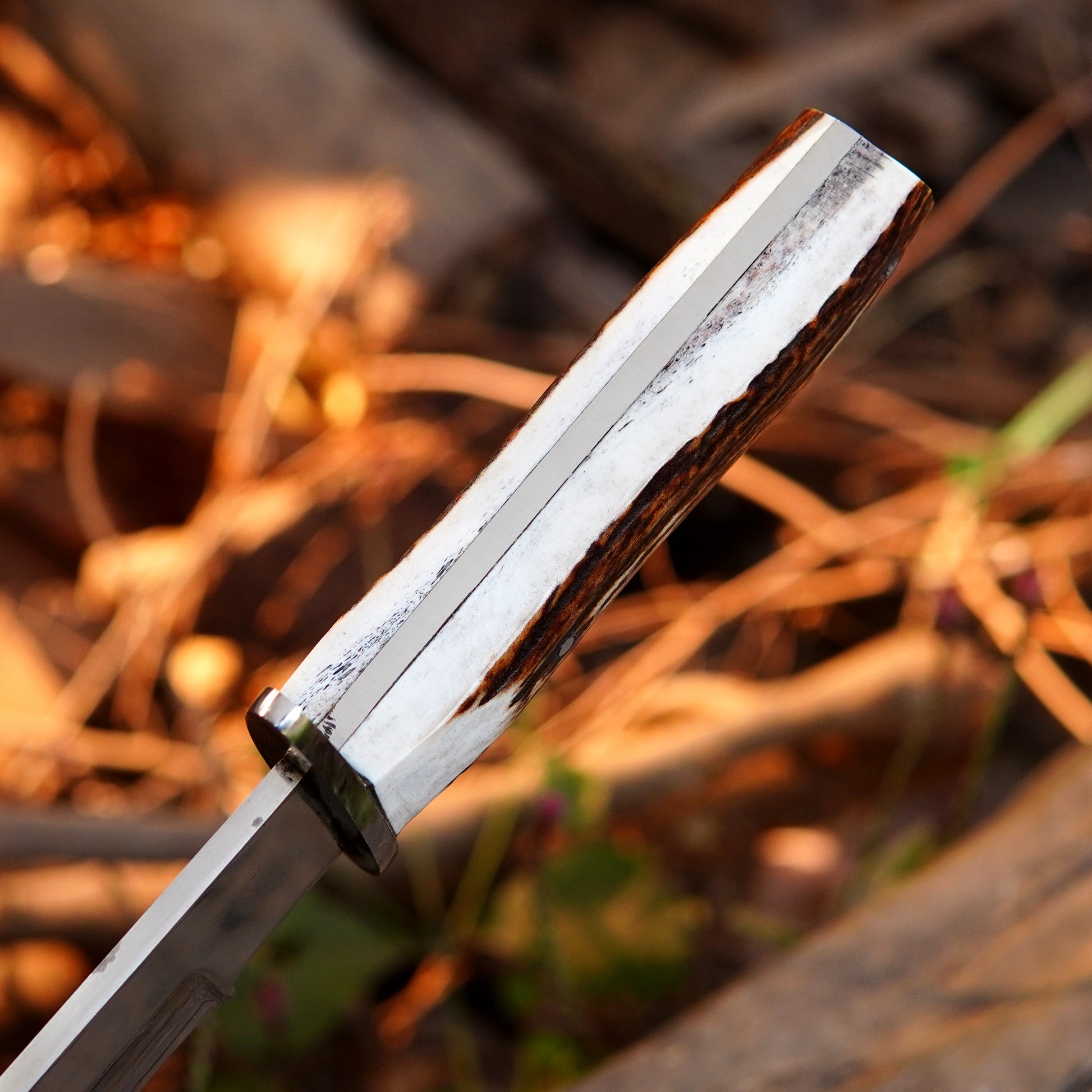 Outdoor survival knife with ergonomic natural material handle and polished steel guard.