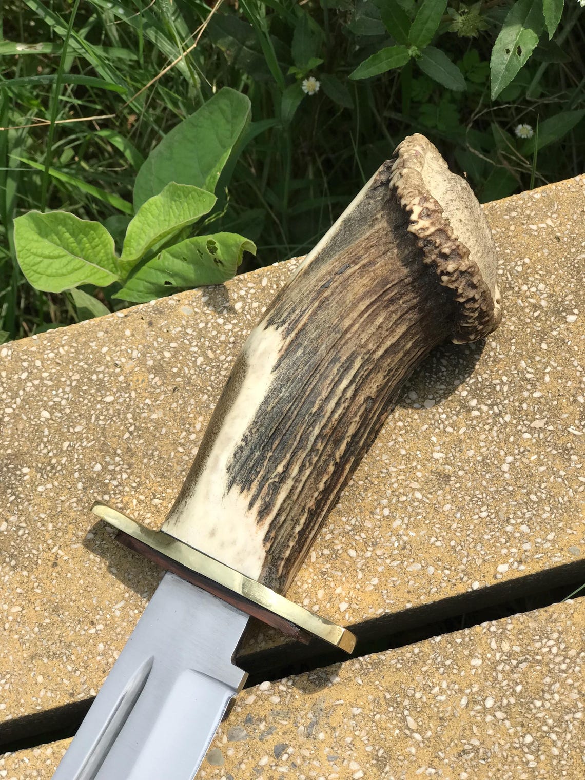 Close-up of the carbon steel blade and brass guard of a handmade Bowie knife with a genuine stag handle, highlighting its mirror polish and precision edge. Ideal for outdoor adventures, survival, and as a luxury gift for men who appreciate handcrafted hunting gear.