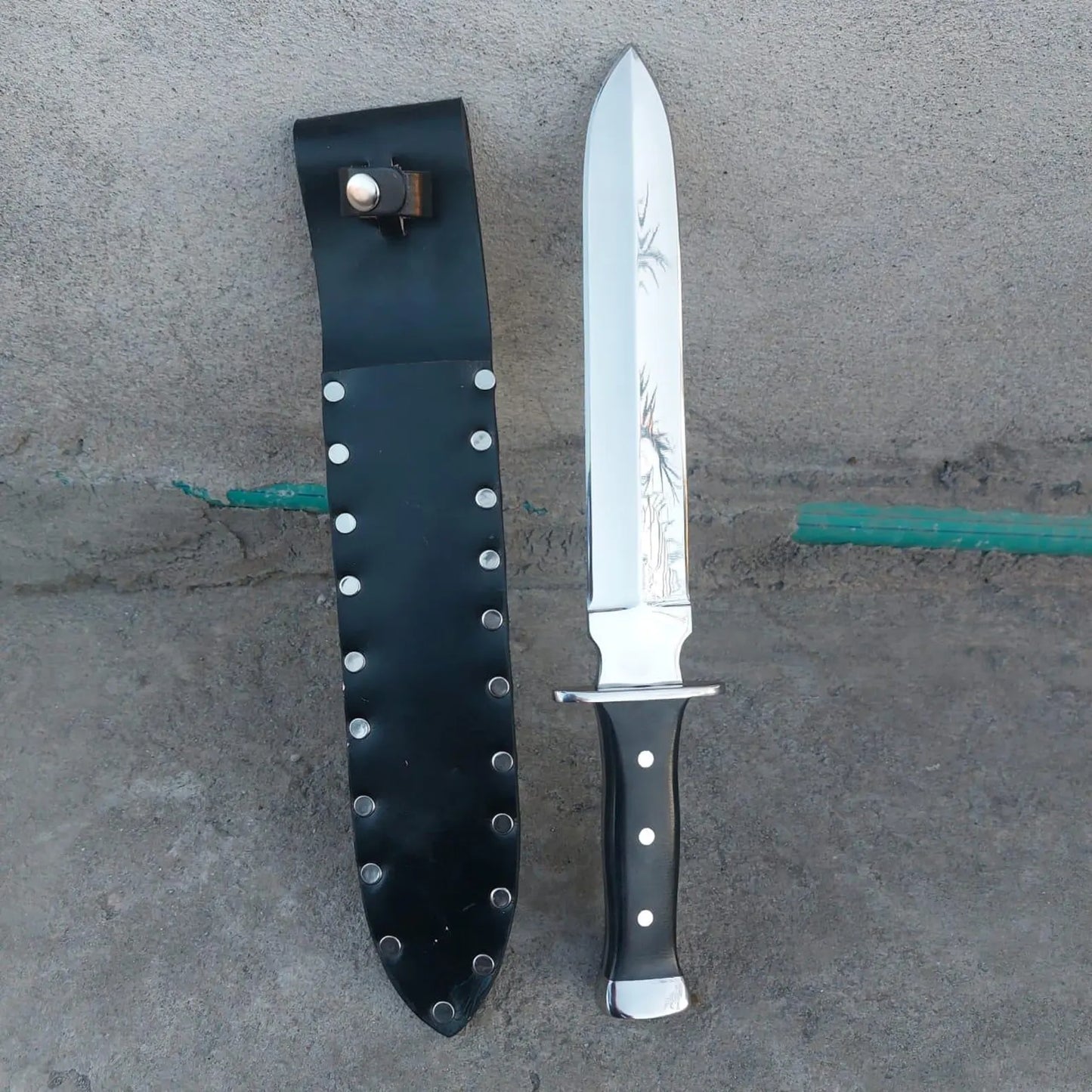 Polished carbon steel blade detail in natural light.