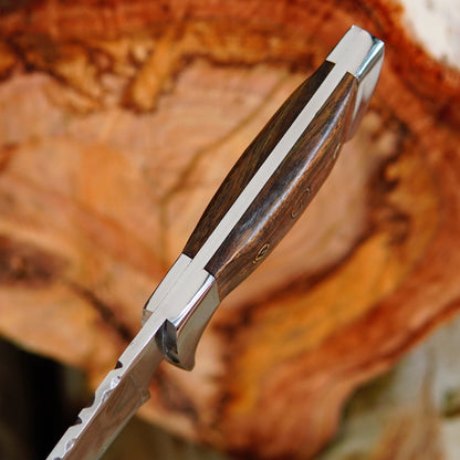 Detailed spine and blade grind closeup of carbon steel hunting knife showing clean finish and precise craftsmanship. The strong back design improves durability for tough outdoor jobs while maintaining sharpness for accurate cuts. Ideal for survival gear setups and outdoor tool collections this knife blends function with handcrafted style