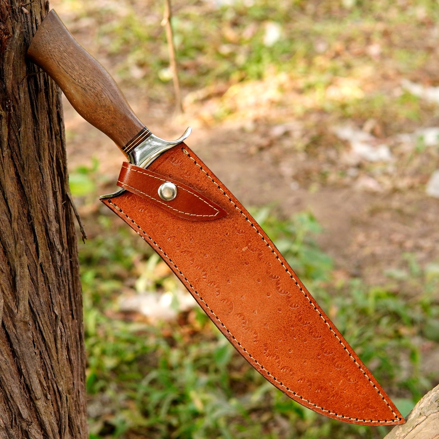 Sharp polished blade detail highlighting clean edge geometry and durable steel construction suitable for field work food prep rope cutting wood shaving and other reliable outdoor tasks in camping or survival situations