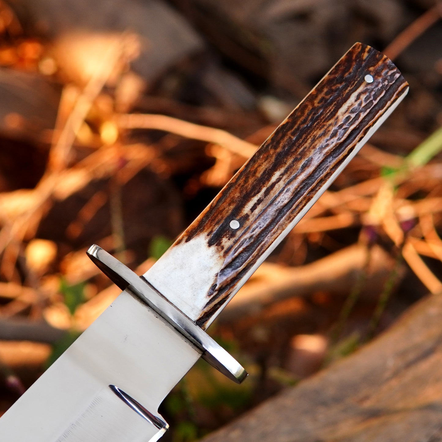 Close up of textured natural handle showing unique brown and cream grain pattern.