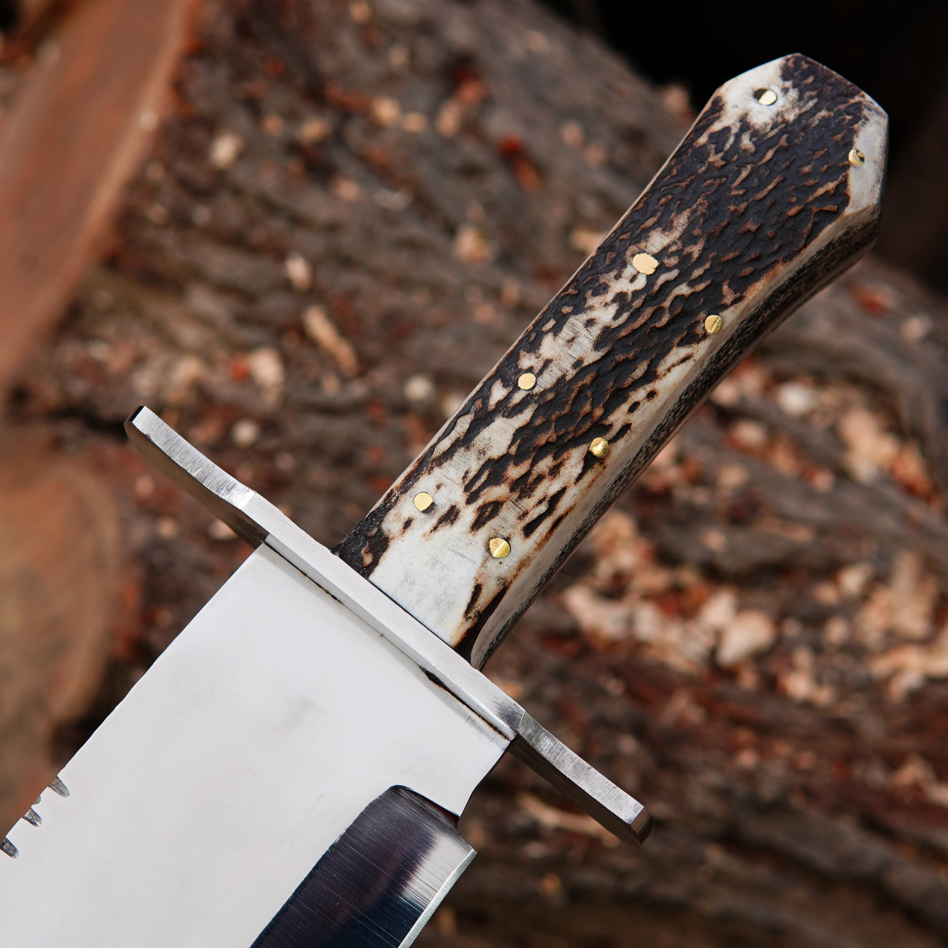 Close-up of a polished steel blade bowie knife highlighting balance and craftsmanship.
