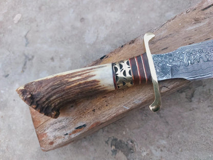 Damascus hunting knife with stag crown handle and brass spacer fittings. Each blade is hand-forged with unique Damascus steel patterns. Comes with a premium leather sheath, making it reliable for outdoor use, hunting, or as part of a knife collection.
