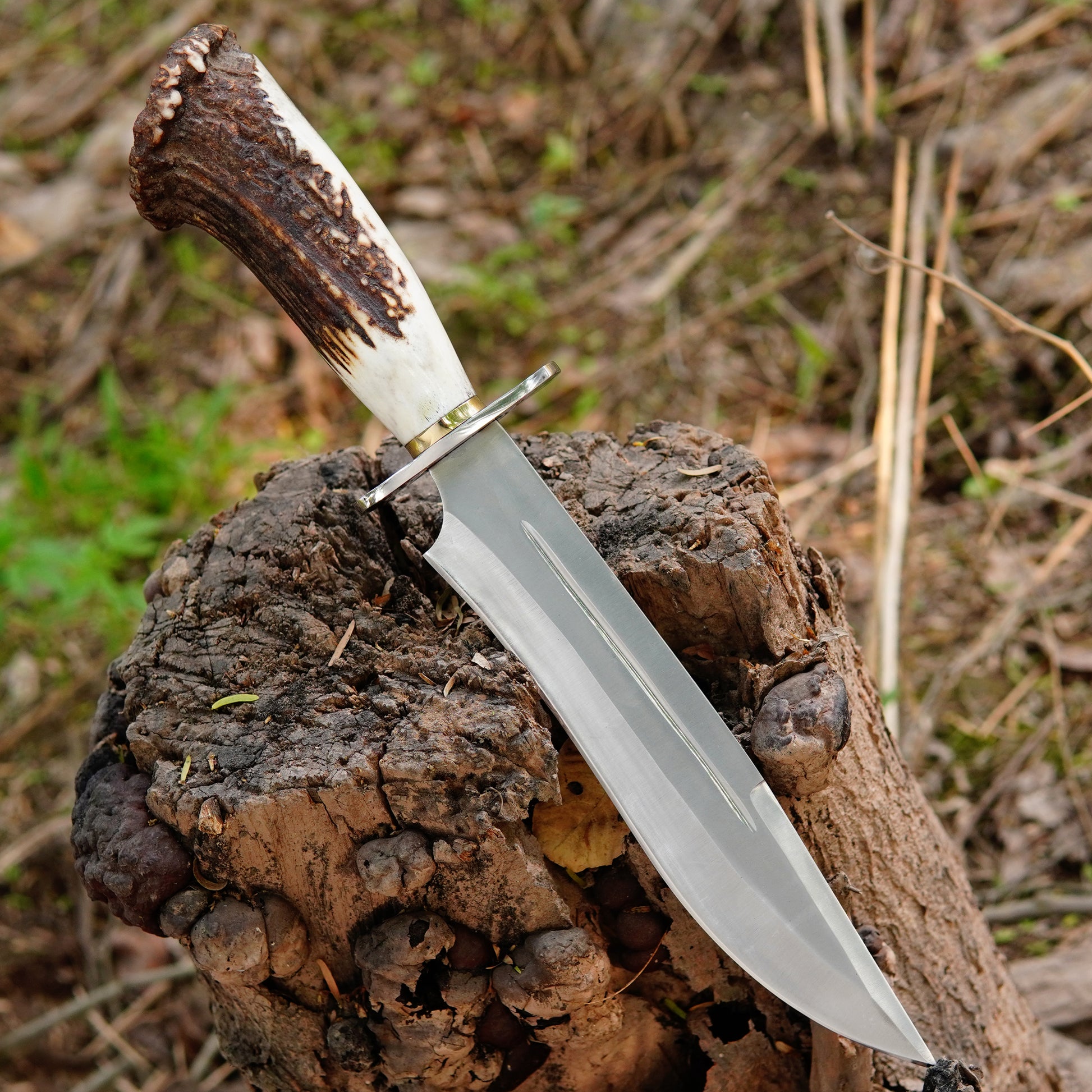 Closeup view of razor sharp high carbon steel blade reflecting light with clean edge geometry, ideal for cutting wood rope and food during camping trips, showcasing durable craftsmanship and reliable performance for hunters and outdoor enthusiasts